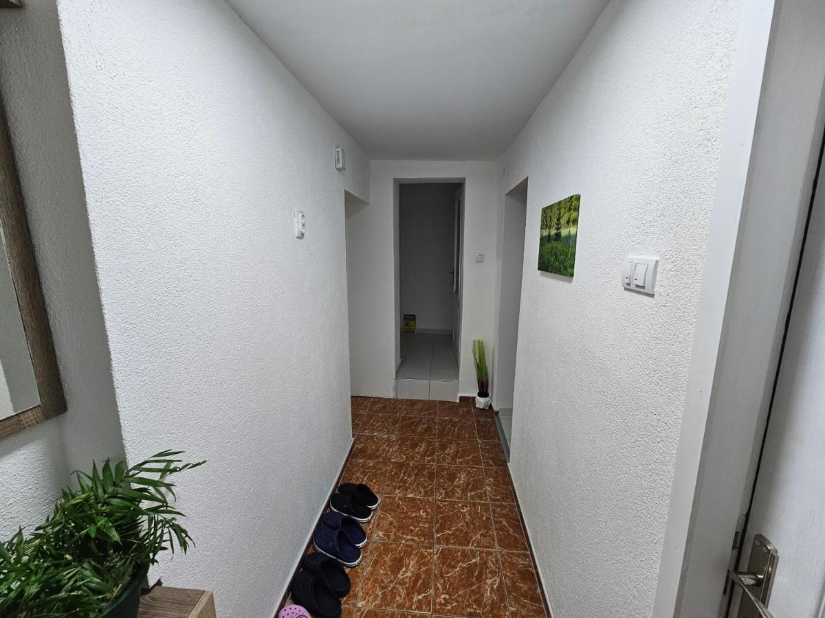 Apartment Kuca Vasiljevica 064/16 88 141
